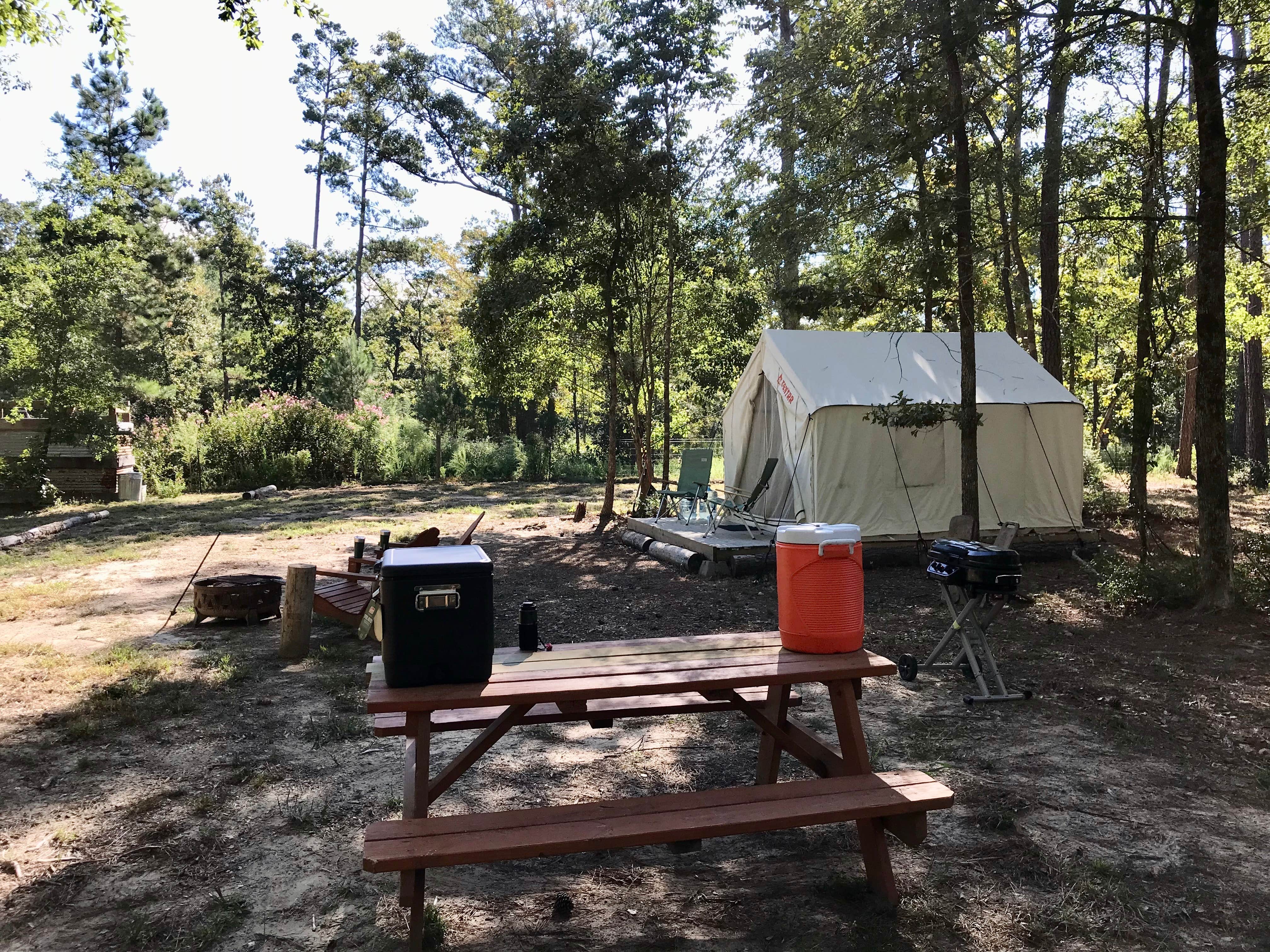 The Dyrt's photo at Tentrr Signature Site - Hidden Forest - Coleman Outfitted Site near Conroe, TX