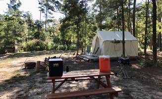 The Dyrt's photo at Tentrr Signature Site - Hidden Forest - Coleman Outfitted Site near Hufsmith, TX