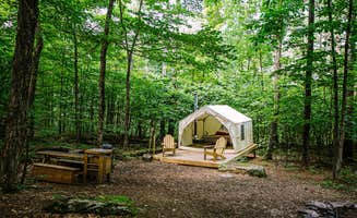 The Dyrt's photo at Tentrr Signature Site - The Old Catskill Game Farm Abandoned Zoo: Wooded Site near Haines Falls, NY