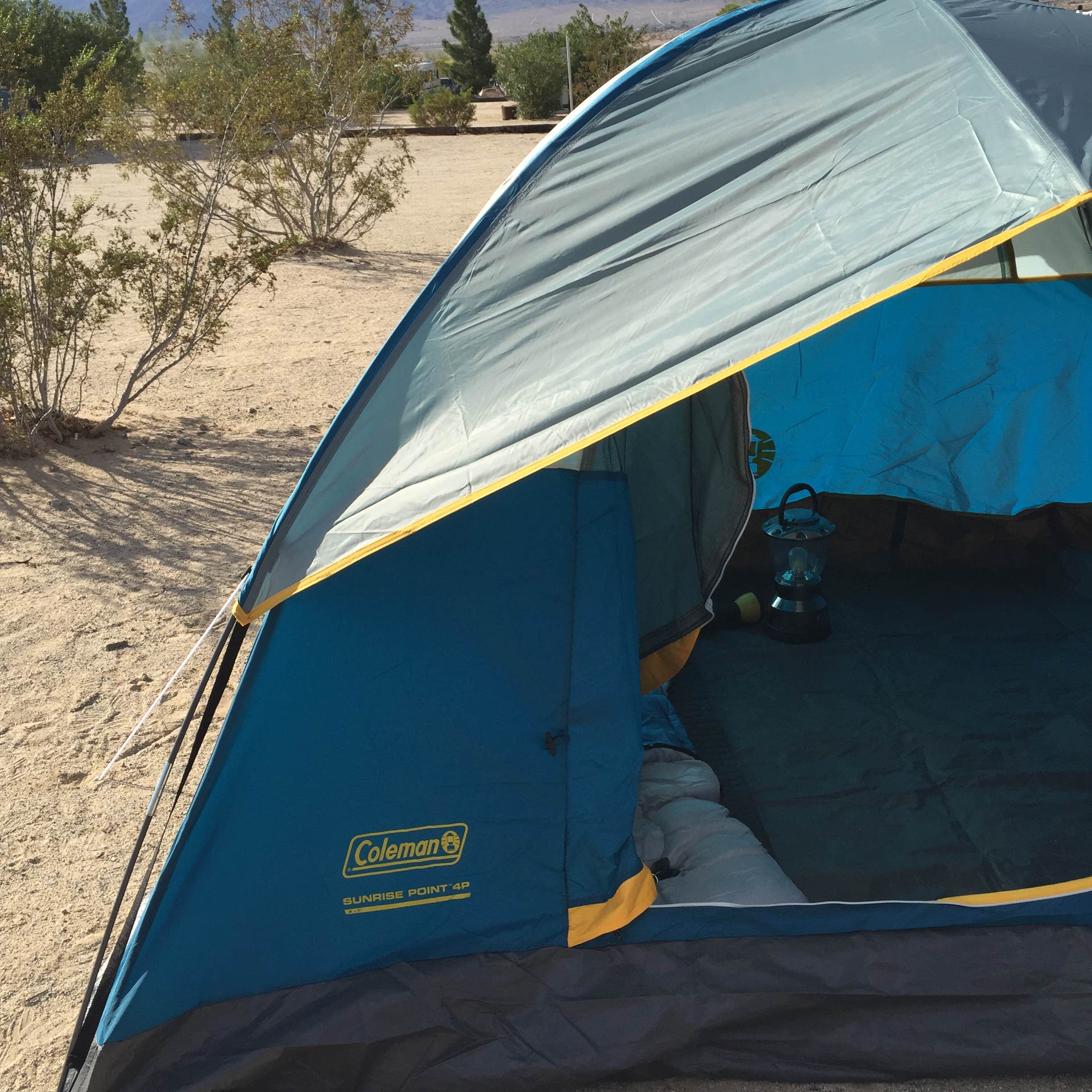 Camper submitted image from Joshua Tree Lake RV & Campground - 4