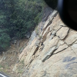 If you look closer you'll see 2 deer leaping up that cliff!