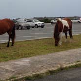 Review photo of Assateague Island National Seashore Oceanside Campground by Maddi P., September 8, 2018