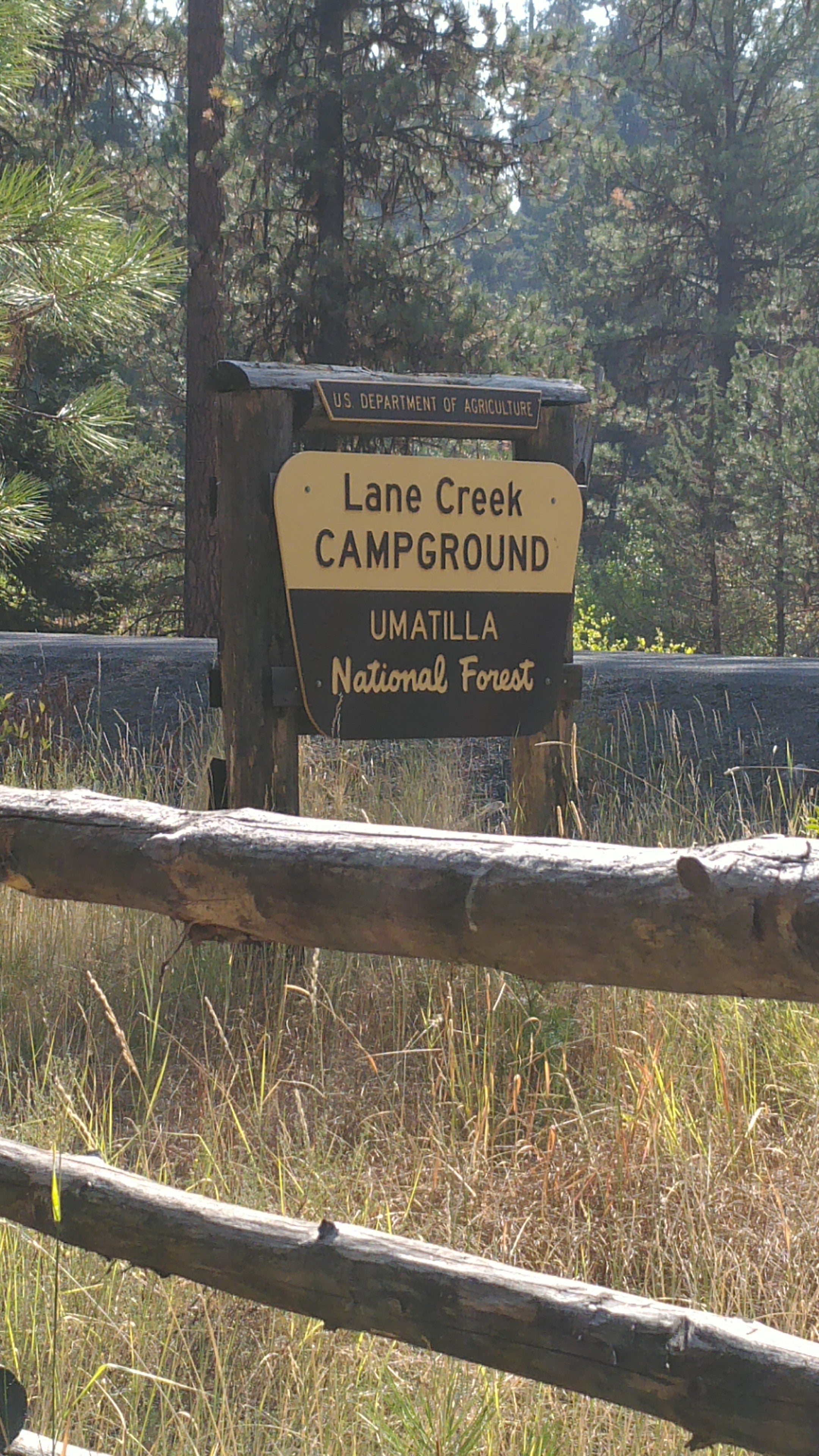 Camper submitted image from Lane Creek - 3
