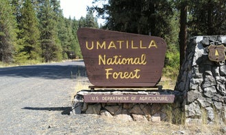Camping near Umatilla National Forest Four Corners Campground: Lane Creek, Ukiah, Oregon