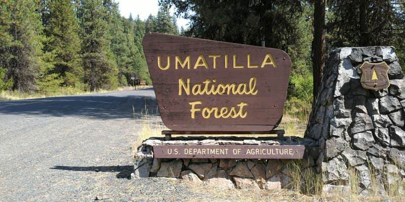 Camper submitted image from Lane Creek