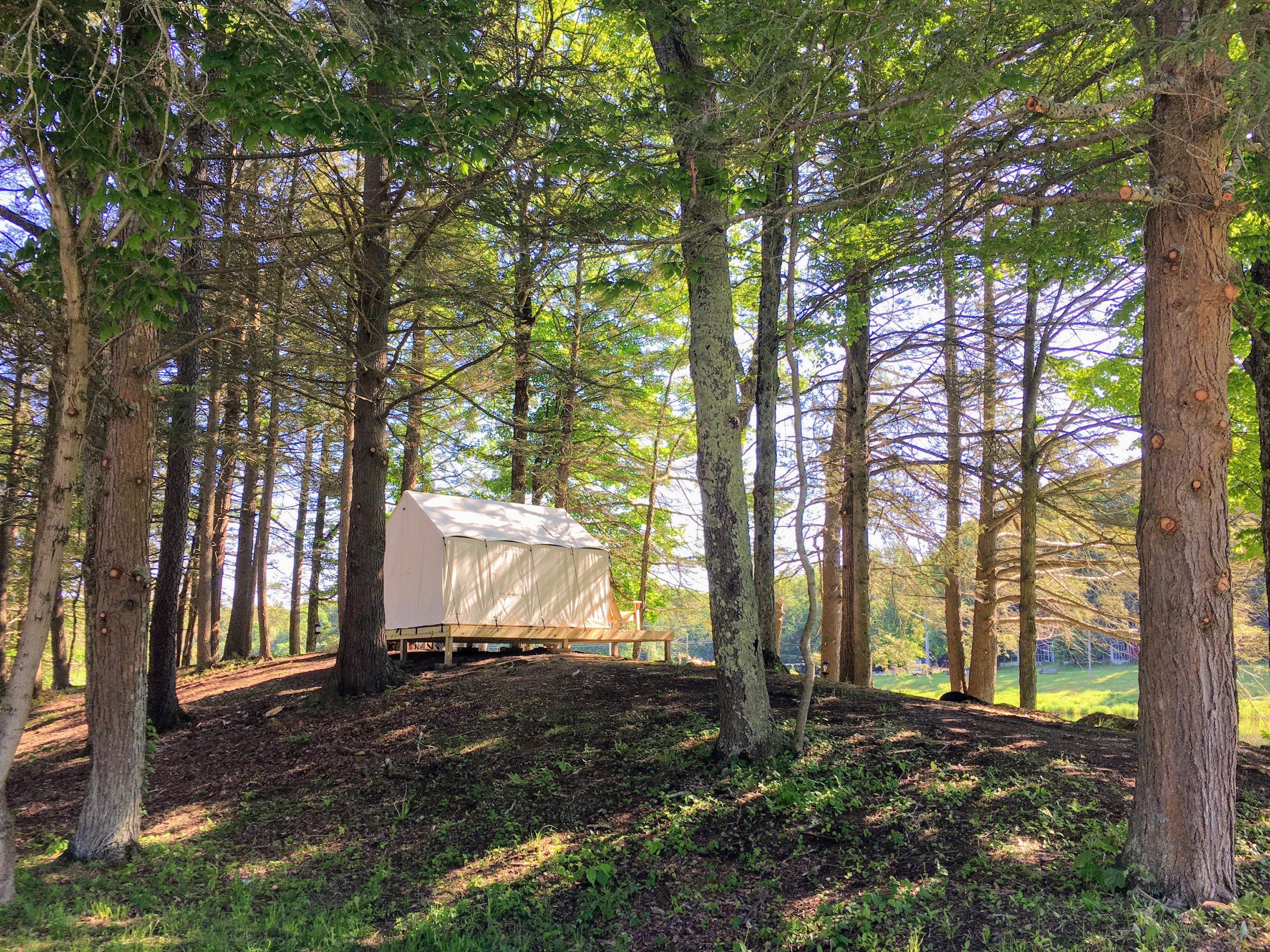 The Dyrt's photo at Tentrr Signature Site - Lakeview Glampsite "Hilltop Haven" (G1) near Hawley, PA