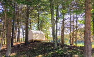 The Dyrt's photo at Tentrr Signature Site - Lakeview Glampsite "Hilltop Haven" (G1) near Spring Brook, PA