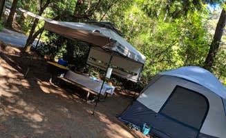 Badariyah O.'s photo at Jessie M. Honeyman Memorial State Park Campground near Mapleton, OR