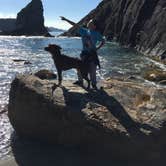 Review photo of Harris Beach State Park Campground by Lanie G., September 8, 2018