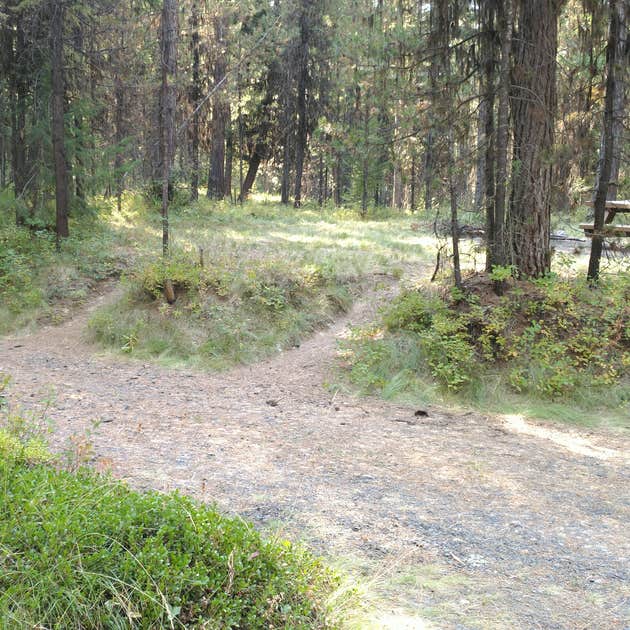 Bear Wallow Creek Camping Pilot Rock, OR