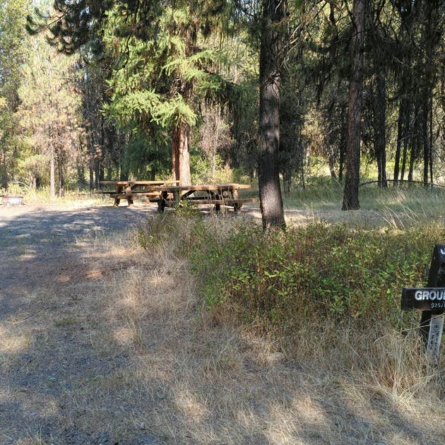 Bear Wallow Creek Camping Pilot Rock, OR