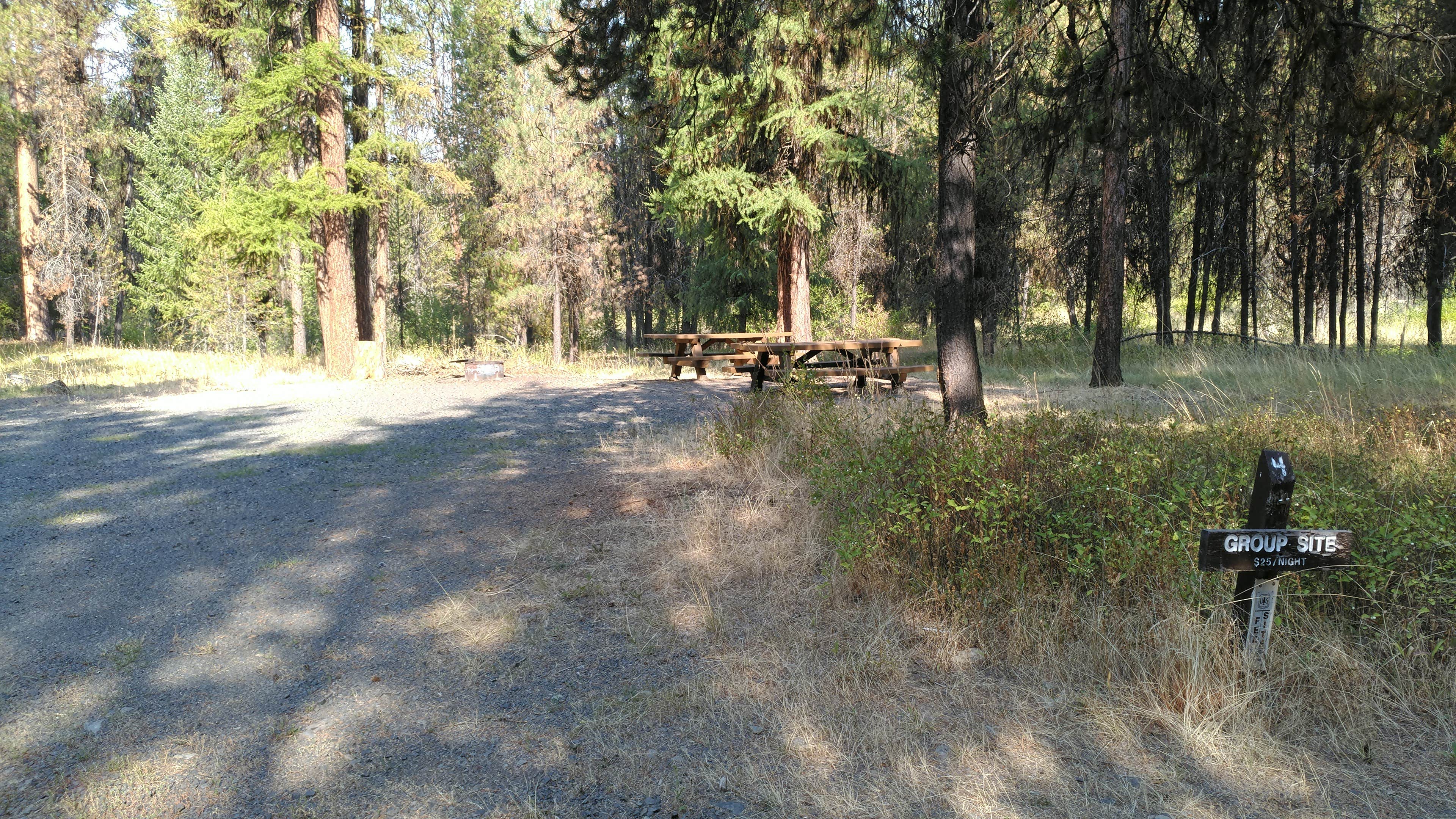 Camper submitted image from Bear Wallow Creek - 3