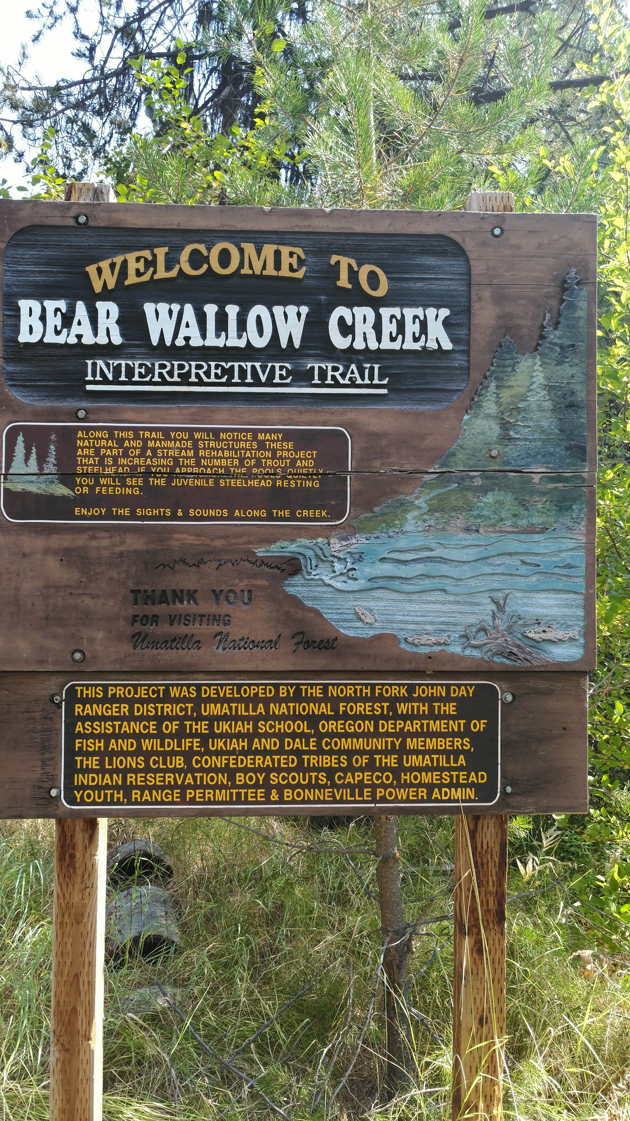 Camper-submitted photo at Bear Wallow Creek near Ukiah, OR