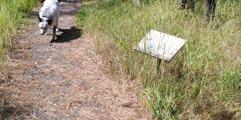 Camper submitted image from Bear Wallow Creek