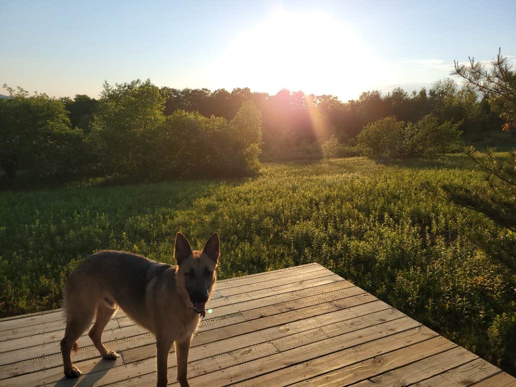 The Dyrt's photo of camping with pets at Tentrr Signature Site - Grateful Acres - Coleman Outfitted Site near Townshend Lake