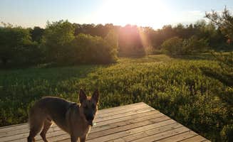 The Dyrt's photo of camping with pets at Tentrr Signature Site - Grateful Acres - Coleman Outfitted Site near Townshend Lake