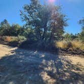 Review photo of Prescott Basin - Ponderosa Park Road Dispersed Camping by Dana V., October 19, 2022