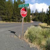 Review photo of Frazier Campground & Trailhead by Cindy U., September 8, 2018