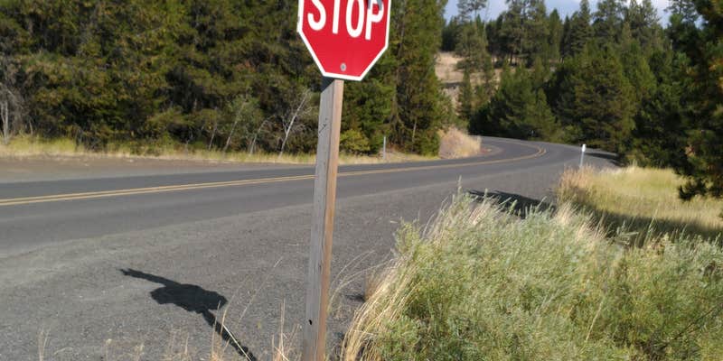 Camper submitted image from Frazier Campground & Trailhead