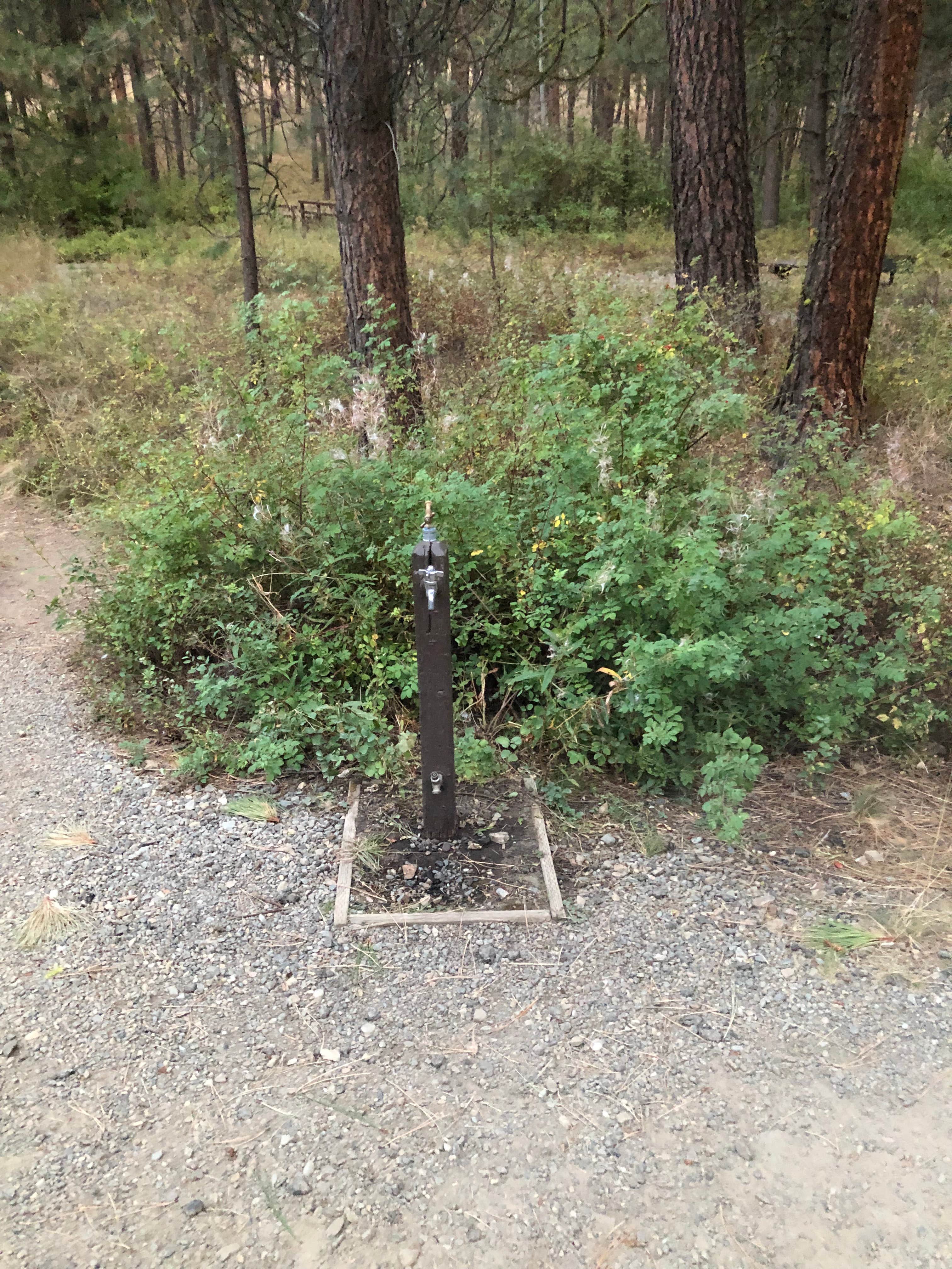 Camper-submitted photo at Union Creek Campground near North Powder, OR