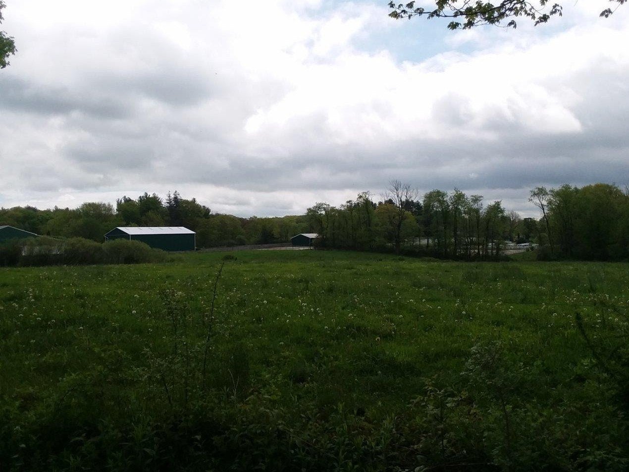 Camper submitted image from Tentrr Signature Site - Meadow Ridge Farm Woods - 2