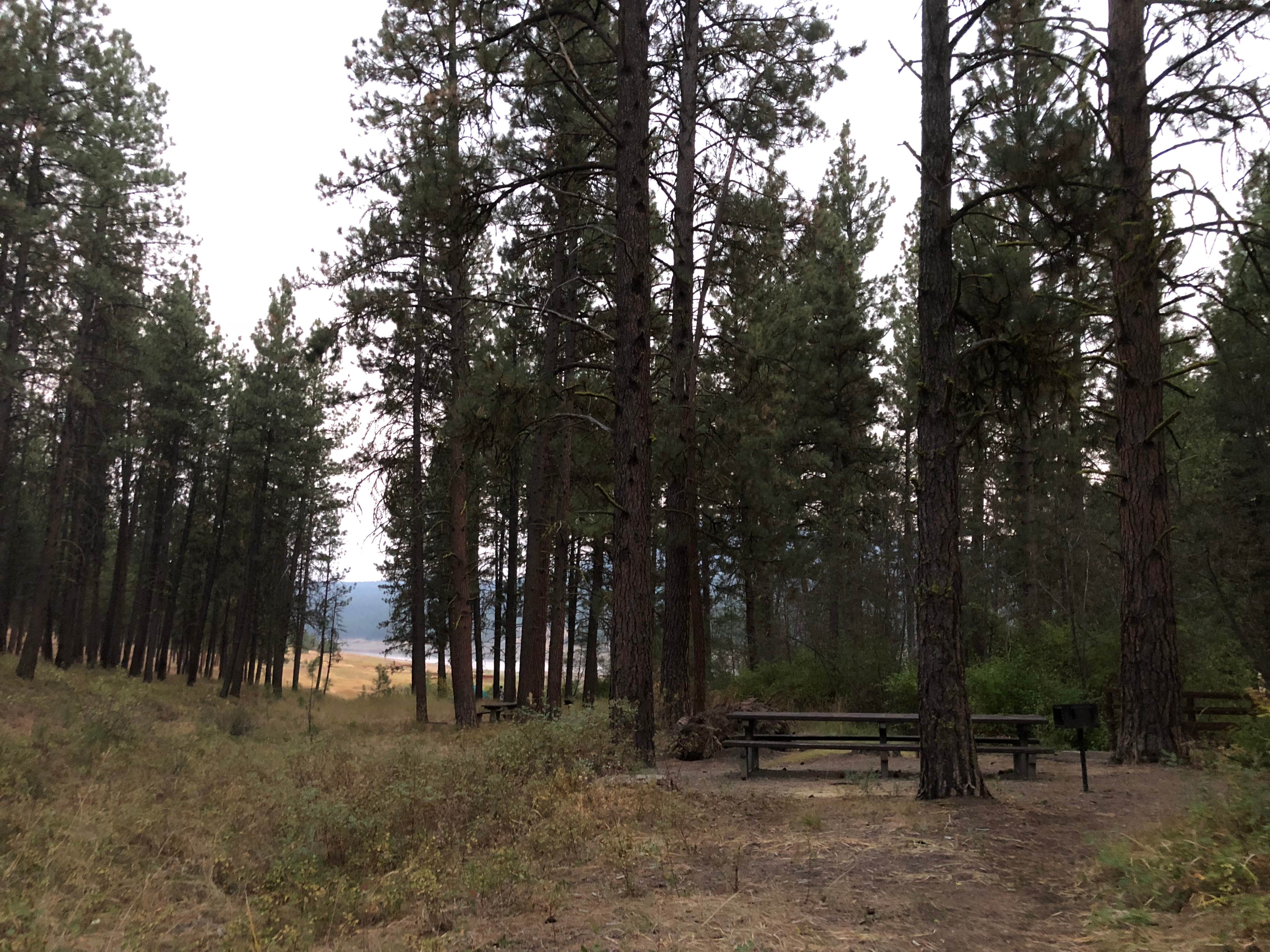 Camper-submitted photo at Union Creek Campground near North Powder, OR