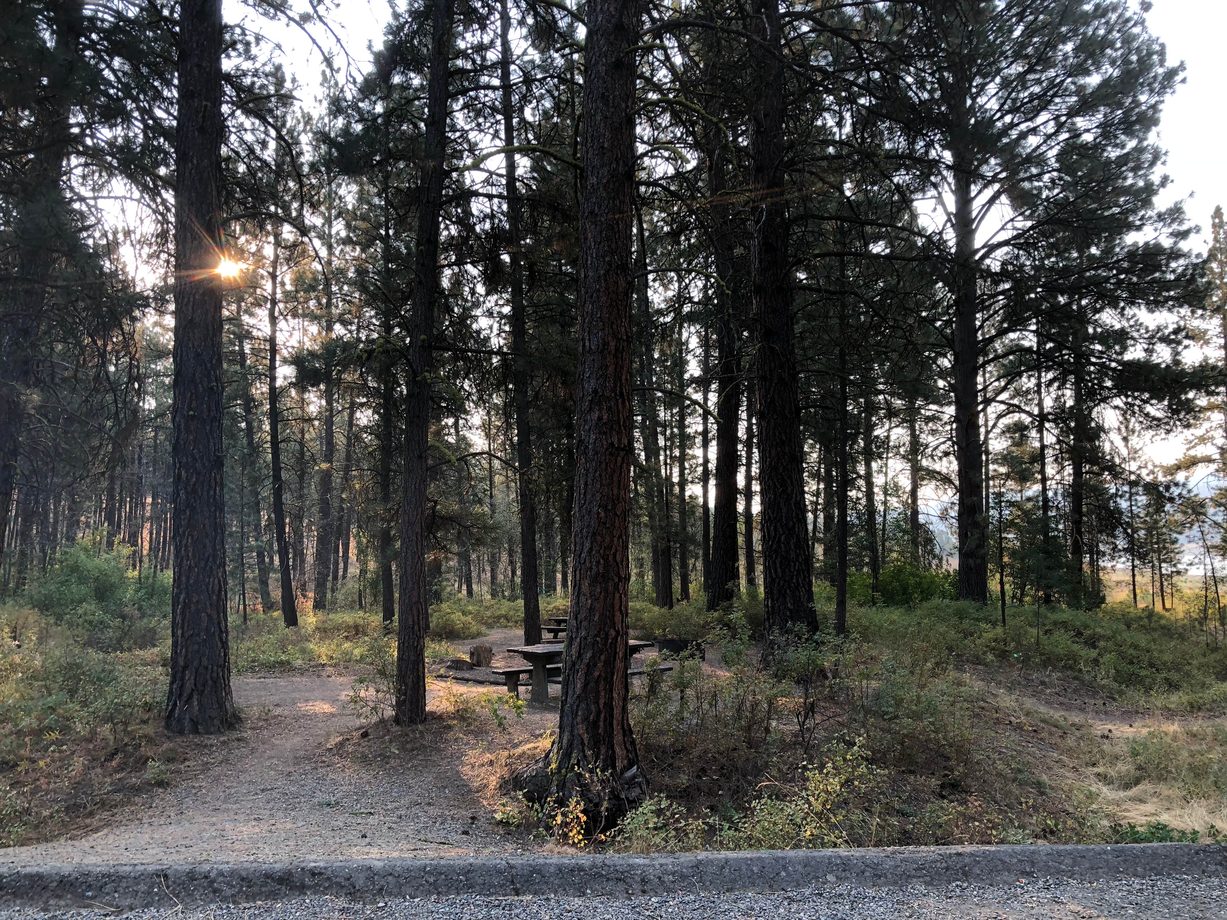 Union Creek Campground