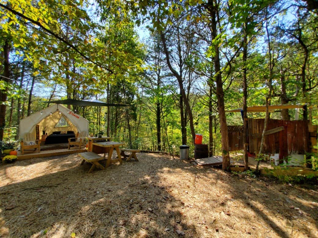 The Dyrt's photo at Tentrr Signature Site - Hunkerdown Hollow near Talbott, TN