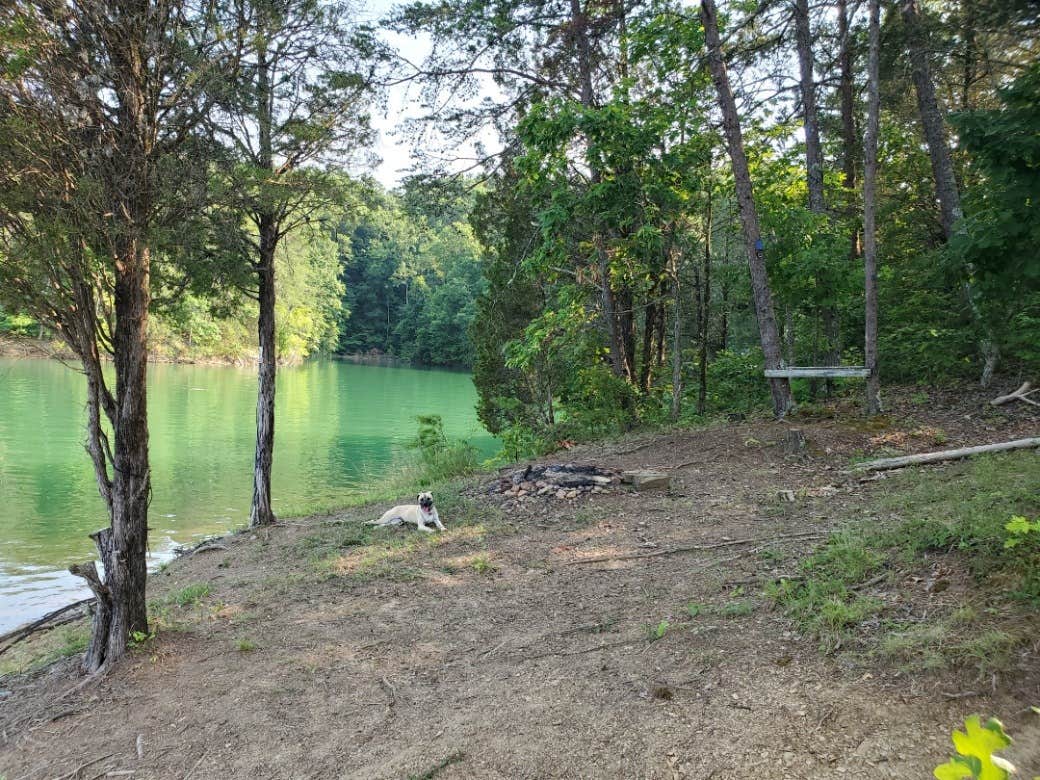 The Dyrt's photo of camping with pets at Tentrr Signature Site - Hunkerdown Hollow near Sevierville, TN
