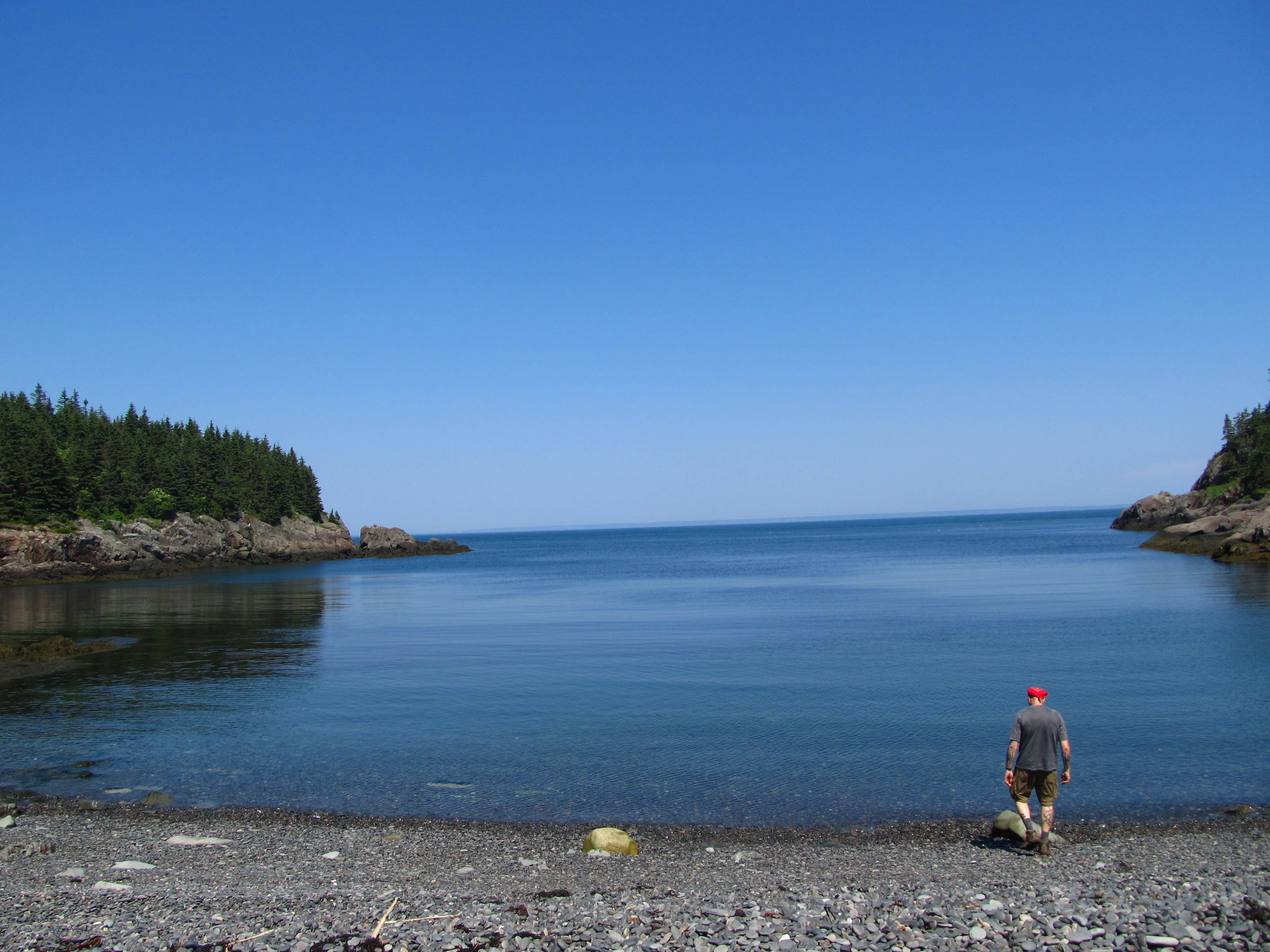 Tina D.'s photo of a dispersed camping area at Cutler Coast Public Land — Cutler Coast Ecological Reserve near Corea, ME