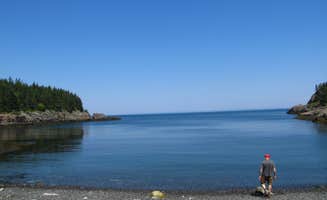 Tina D.'s photo of a dispersed camping area at Cutler Coast Public Land — Cutler Coast Ecological Reserve near Meddybemps, ME