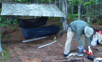 Tina D.'s photo at Cutler Coast Public Land — Cutler Coast Ecological Reserve near Machias, ME