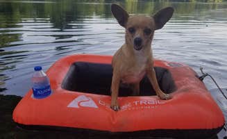 The Dyrt's photo of camping with pets at Tentrr Signature Site - Glamp Greenbrier near George Washington & Jefferson National Forest