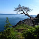 Review photo of Cutler Coast Public Land by Tina D., September 9, 2018