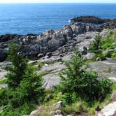 Review photo of Cutler Coast Public Land by Tina D., September 9, 2018