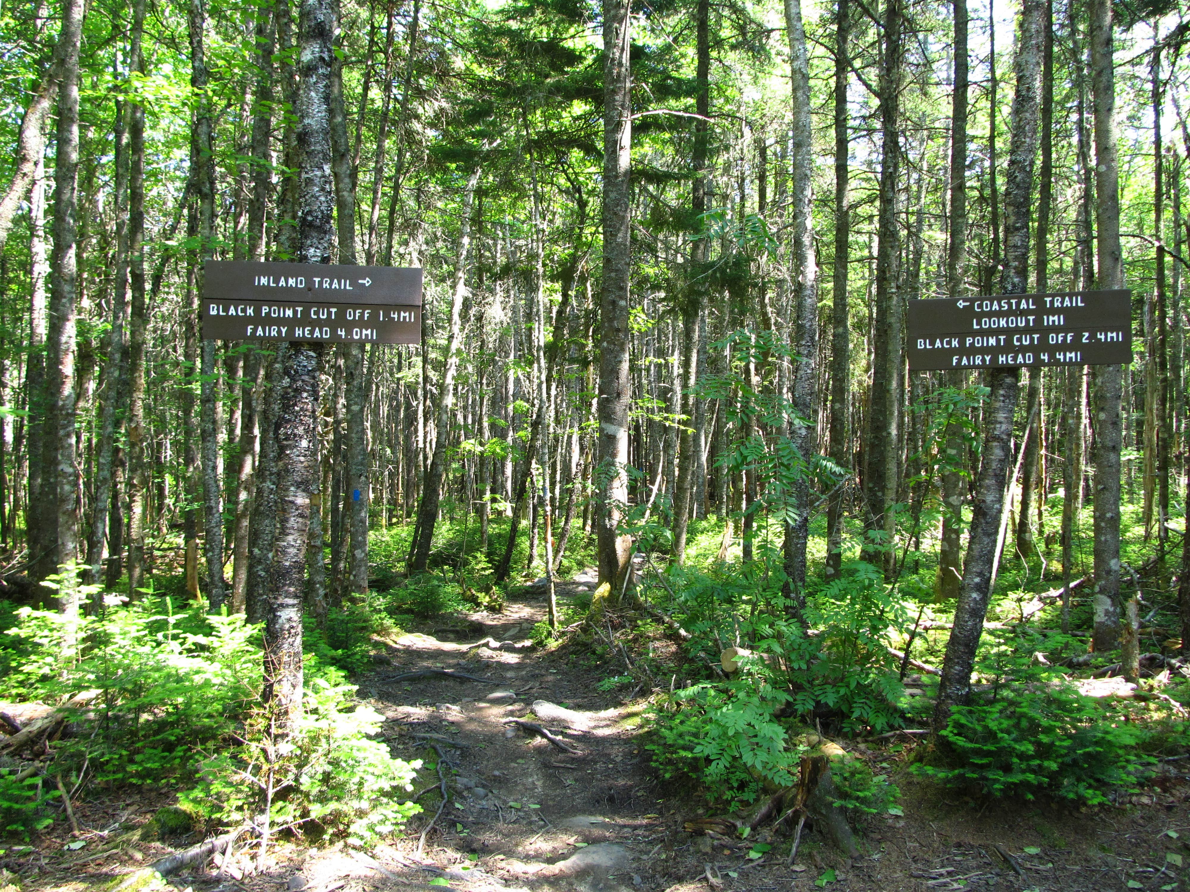 Camper-submitted photo at Cutler Coast Public Land — Cutler Coast Ecological Reserve near Eastport, ME
