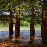 Review photo of Cardens Bluff Campground by Fain H., August 7, 2016