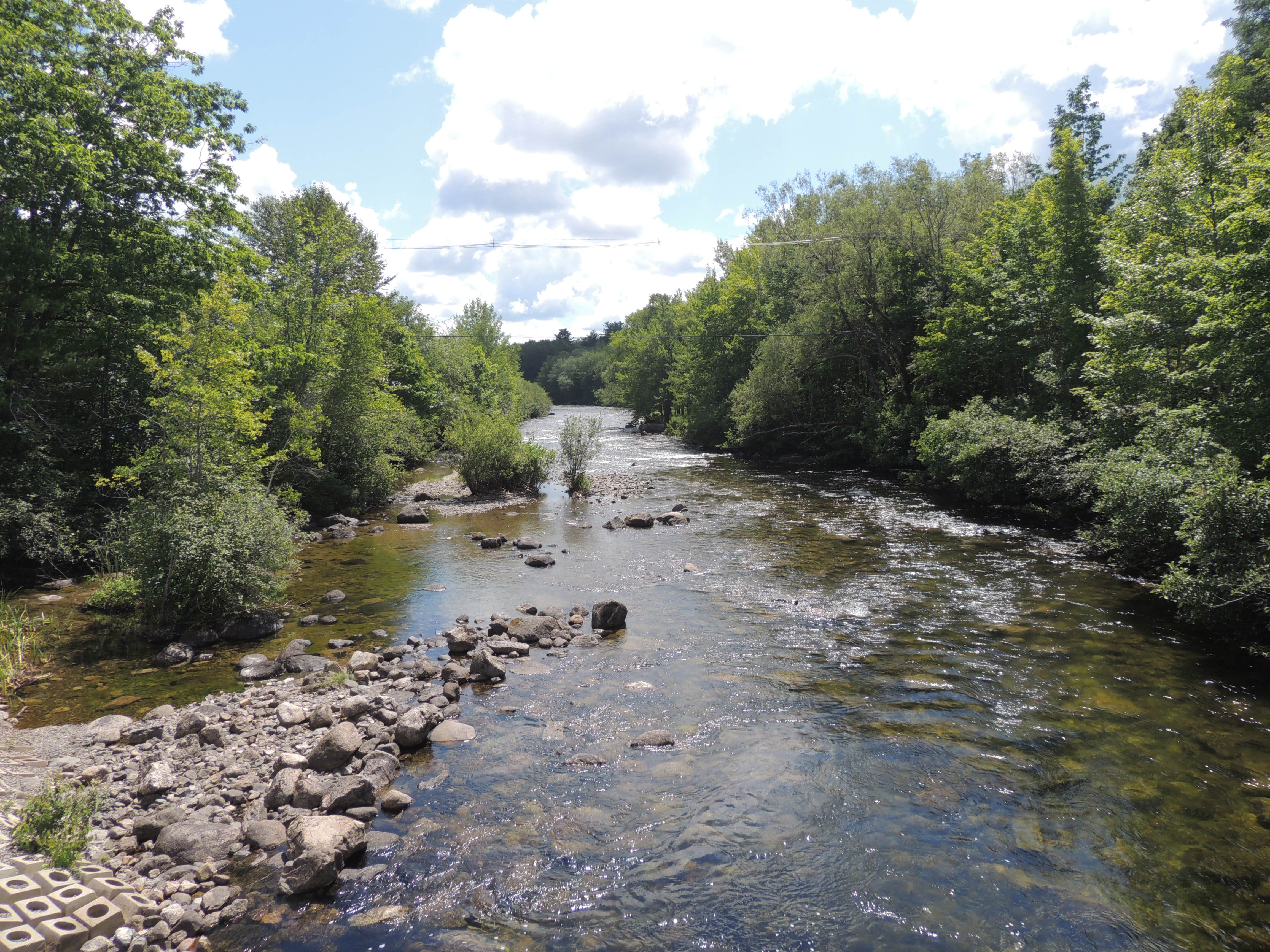 Camper submitted image from Third Machias Lake - Machias River Cooridor - 3