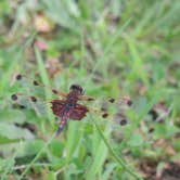 Review photo of Third Machias Lake - Machias River Cooridor by Tina D., September 9, 2018