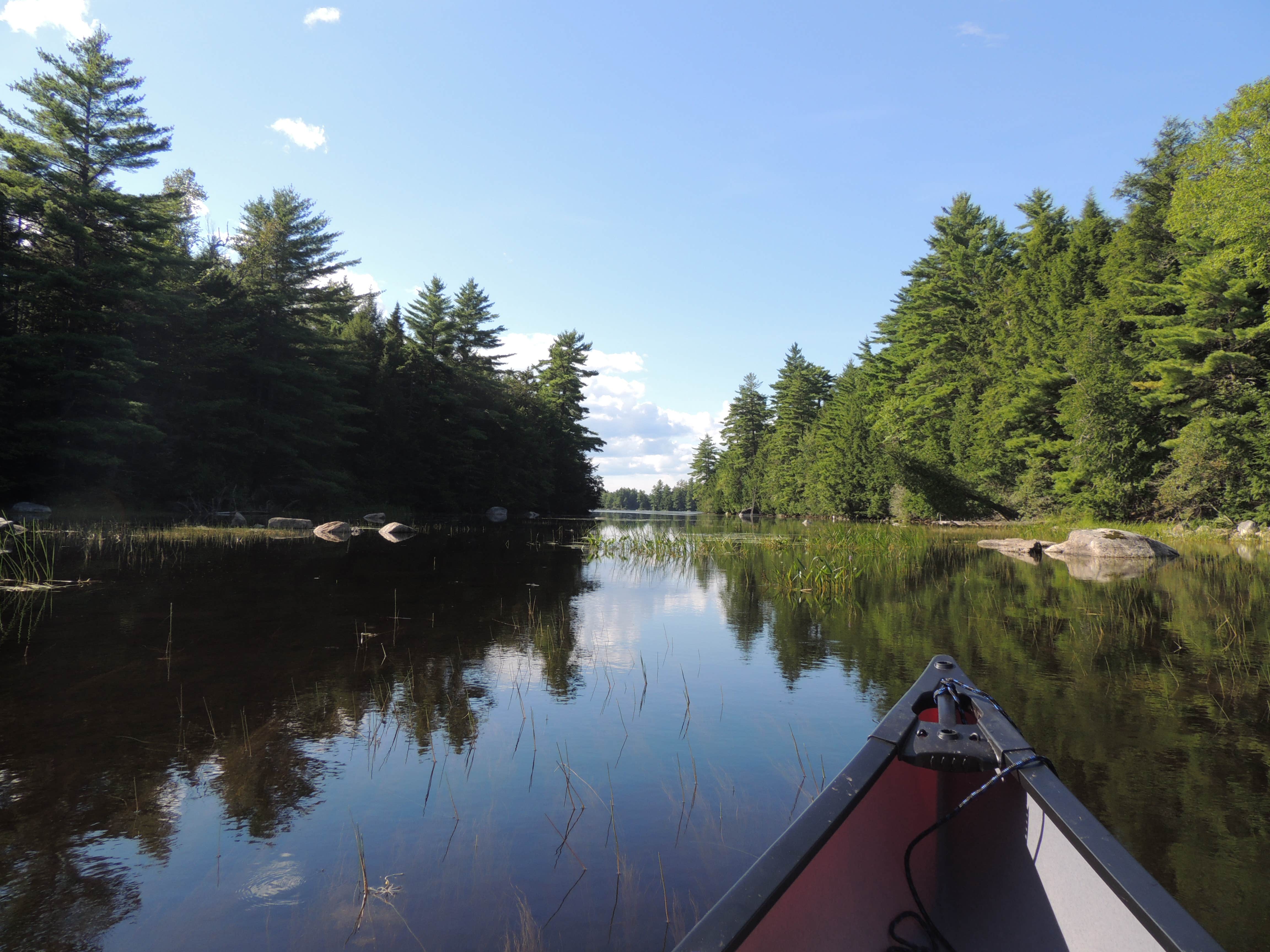 Camper submitted image from Third Machias Lake - Machias River Cooridor - 4