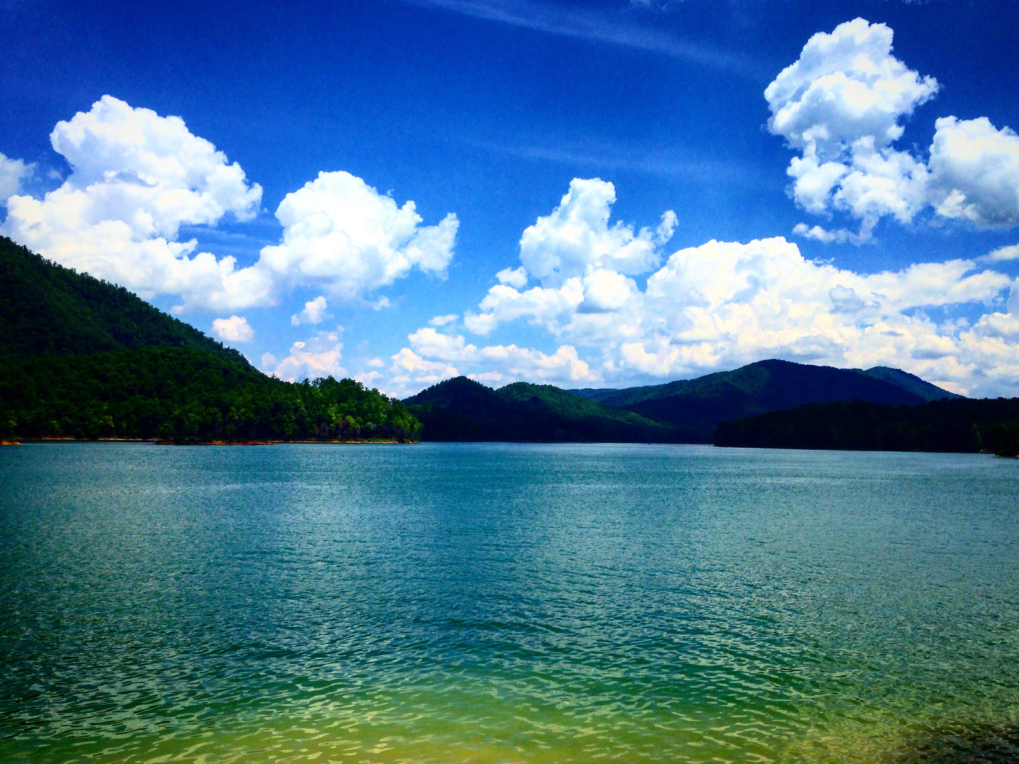 Camper submitted image from Cardens Bluff Campground - 1