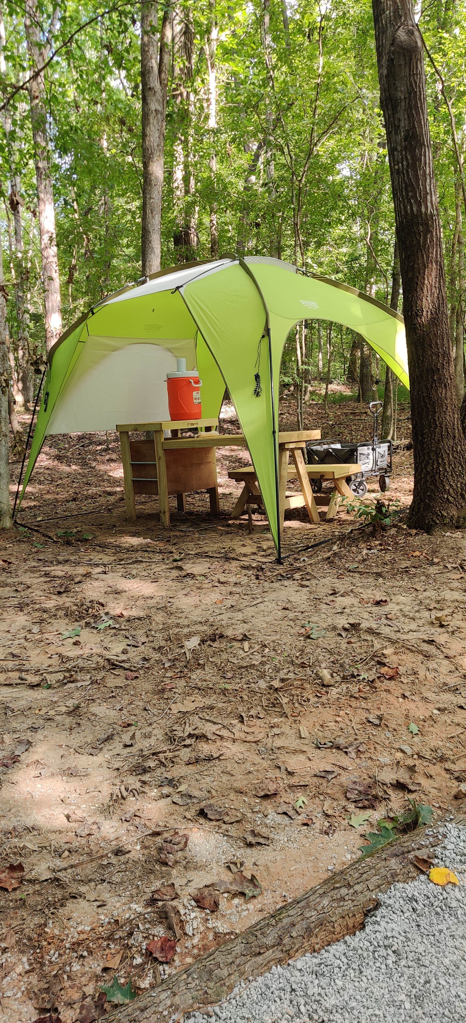 The Dyrt's photo at Tentrr Signature Site - Calming Stream near Belton, SC