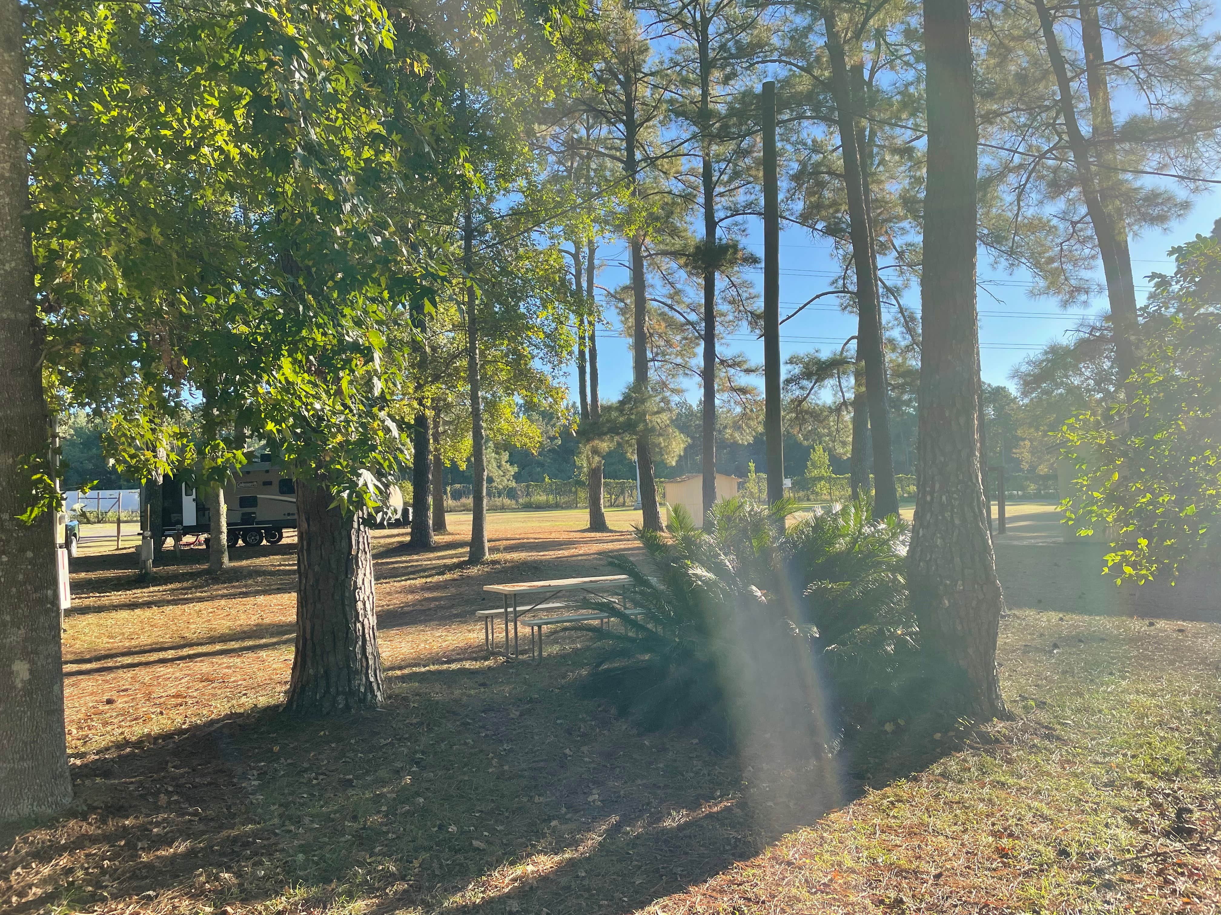 Camper-submitted photo at A Camper's World RV Park near Wacissa, FL