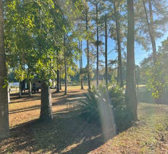 Camper-submitted photo from Tallahassee East Campground