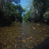 Review photo of Davidson River Campground by Ross B., August 7, 2016