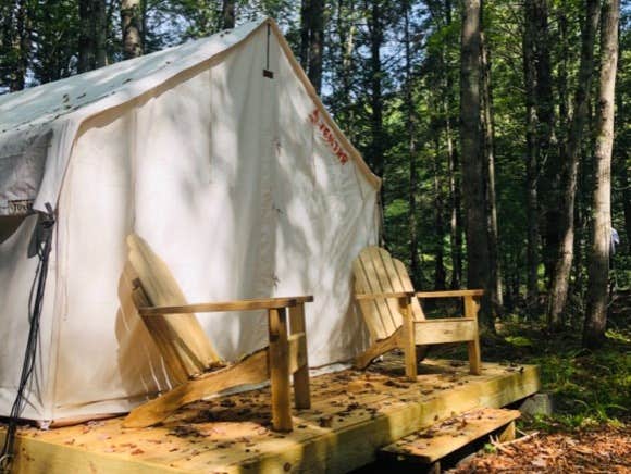 The Dyrt's photo at Tentrr Signature Site - Welcome to the Jungle at the Tentrr Catskill Retreat - Single Camp with River View near Monticello, NY