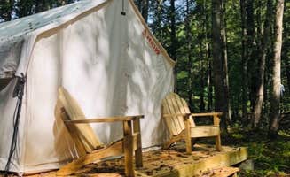 The Dyrt's photo at Tentrr Signature Site - Welcome to the Jungle at the Tentrr Catskill Retreat - Single Camp with River View near Liberty, NY
