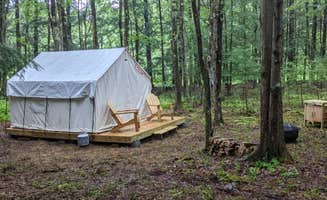 The Dyrt's photo at Tentrr Signature Site - Welcome to the Jungle at the Tentrr Catskill Retreat - Single Camp with River View near Liberty, NY