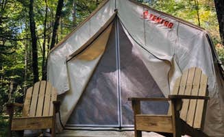 The Dyrt's photo at Tentrr Signature Site - Wildflowers at the Tentrr Catskill Retreat - Single Camp near Liberty, NY