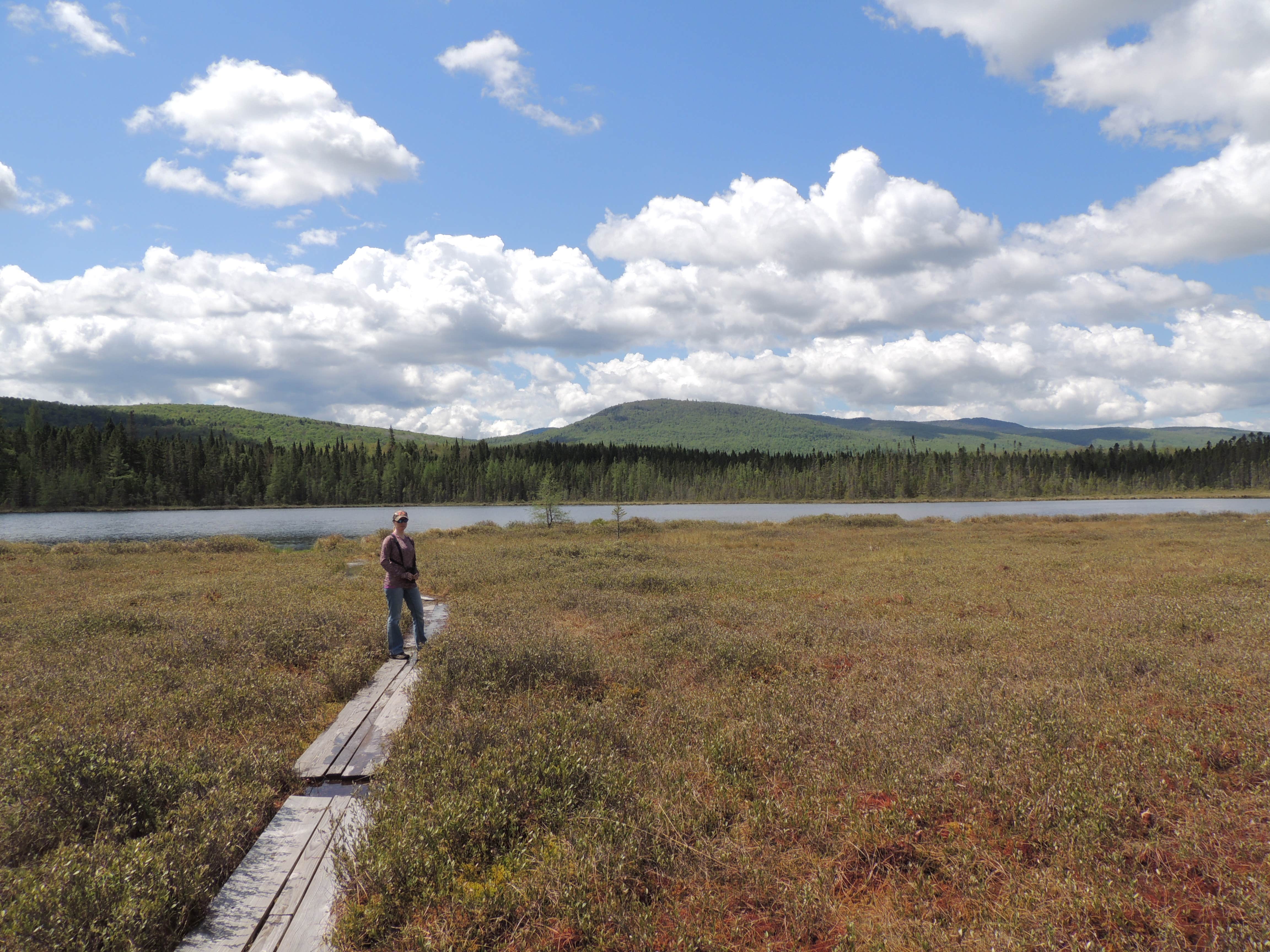 Brighton State Park Campground